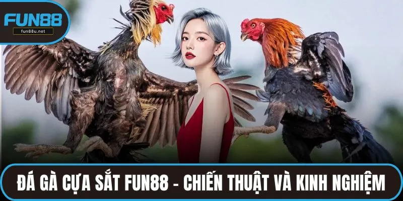 đá gà cựa sắt