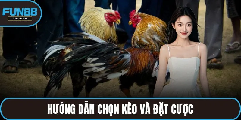 Hướng dẫn chọn kèo và đặt cược